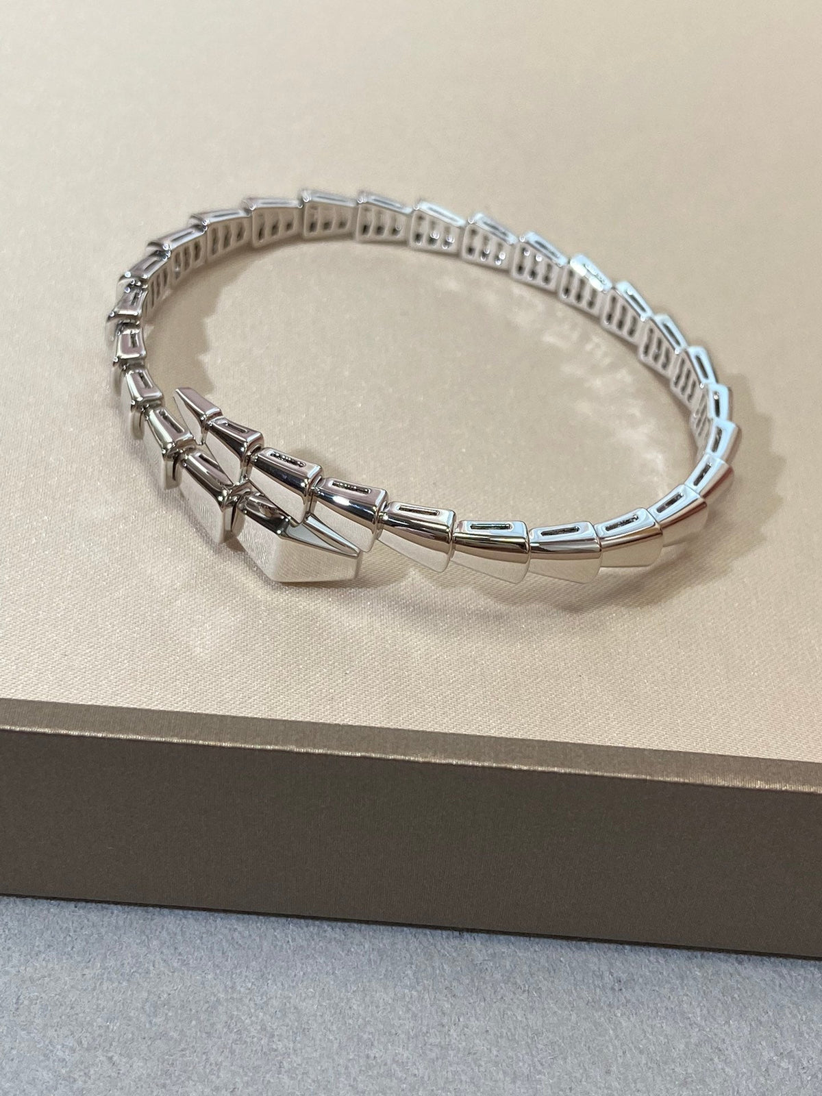 [Glow Muse]SERPENTI VIPER SILVER BRACELET
